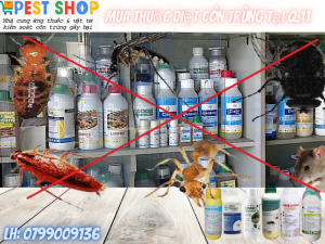 Mua thuốc diệt côn trùng Q.11TP.HCM