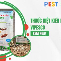 Thuốc diệt kiến dạng bột Vipesco