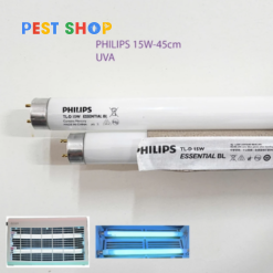 den duoi con trung Phillips