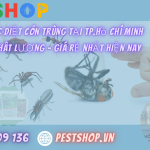 mua thuốc diệt côn trùng tại TP.HCM