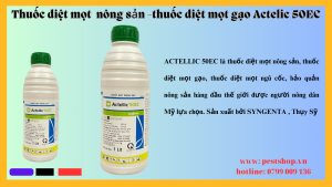thuốc diệt mọt gạo Actelic 50EC