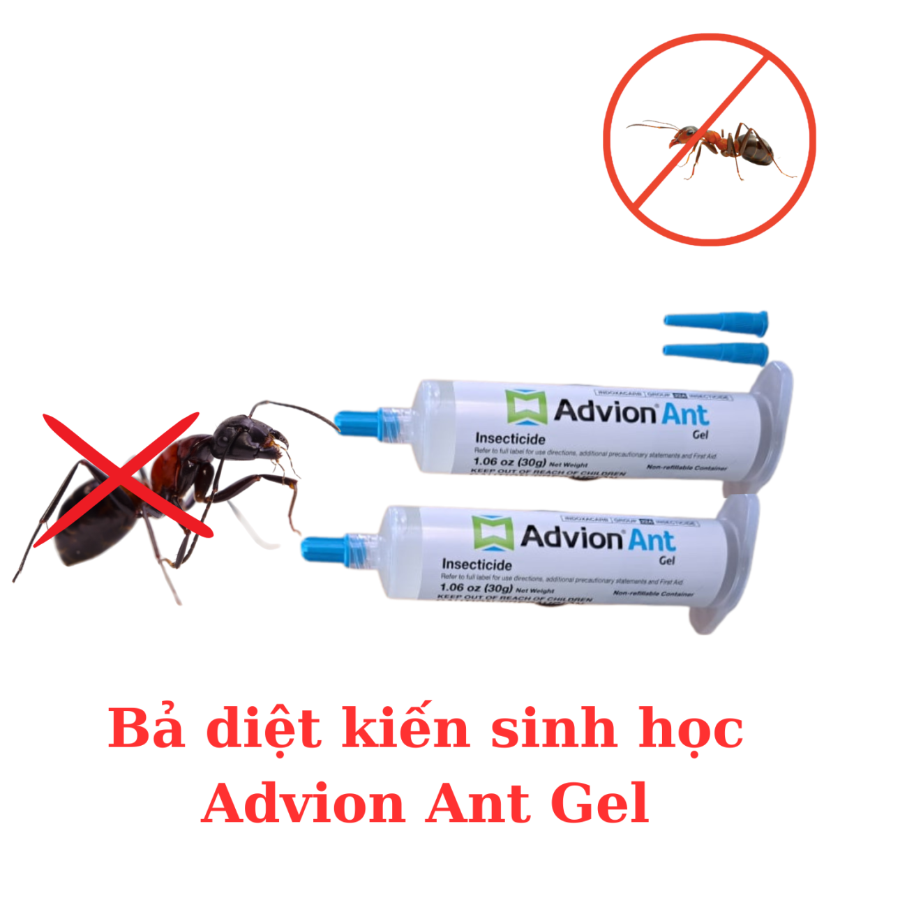 Bả diệt kiến Advion Ant Gel 