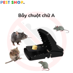 Bẫy chuột chữ A