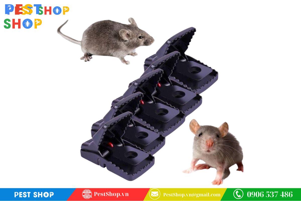 bẫy kẹp chuột