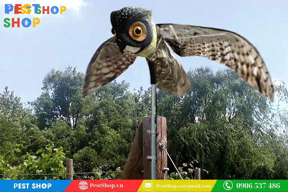 hình nộm đuổi chim