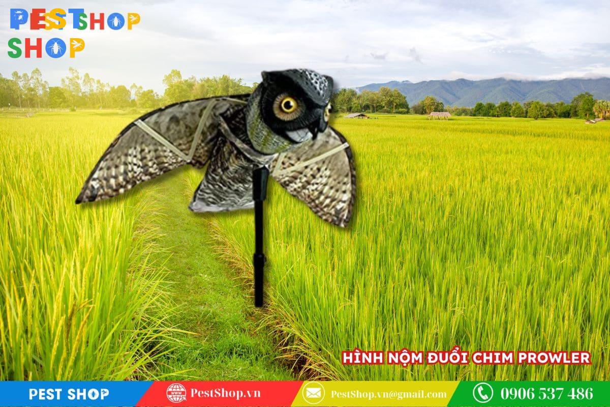 hình nộm đuổi chim