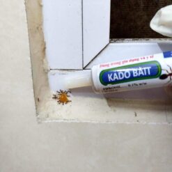 Bả diệt kiến Kado Bait