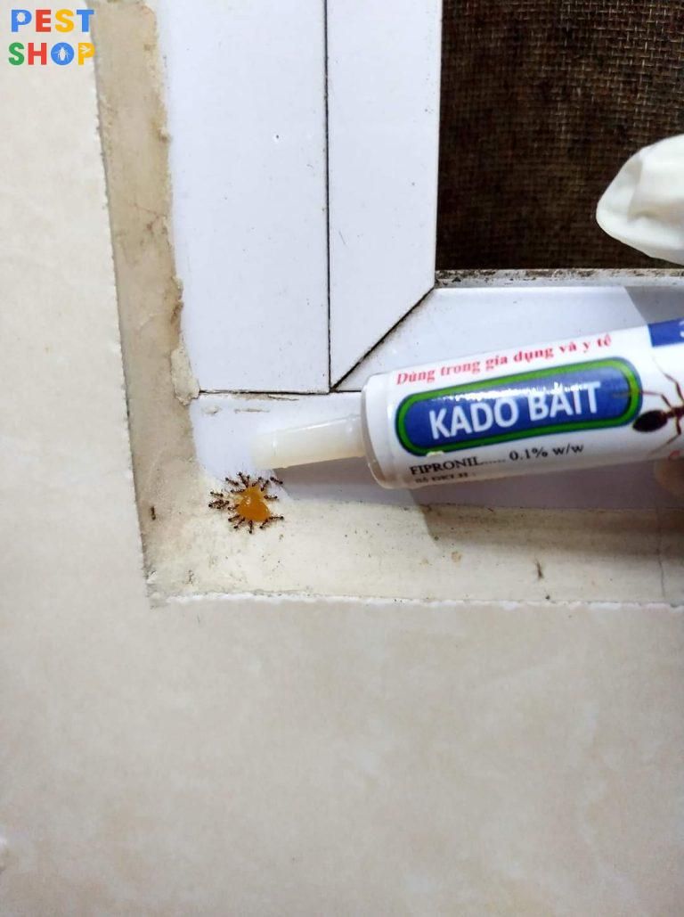 Bả diệt kiến Kado Bait