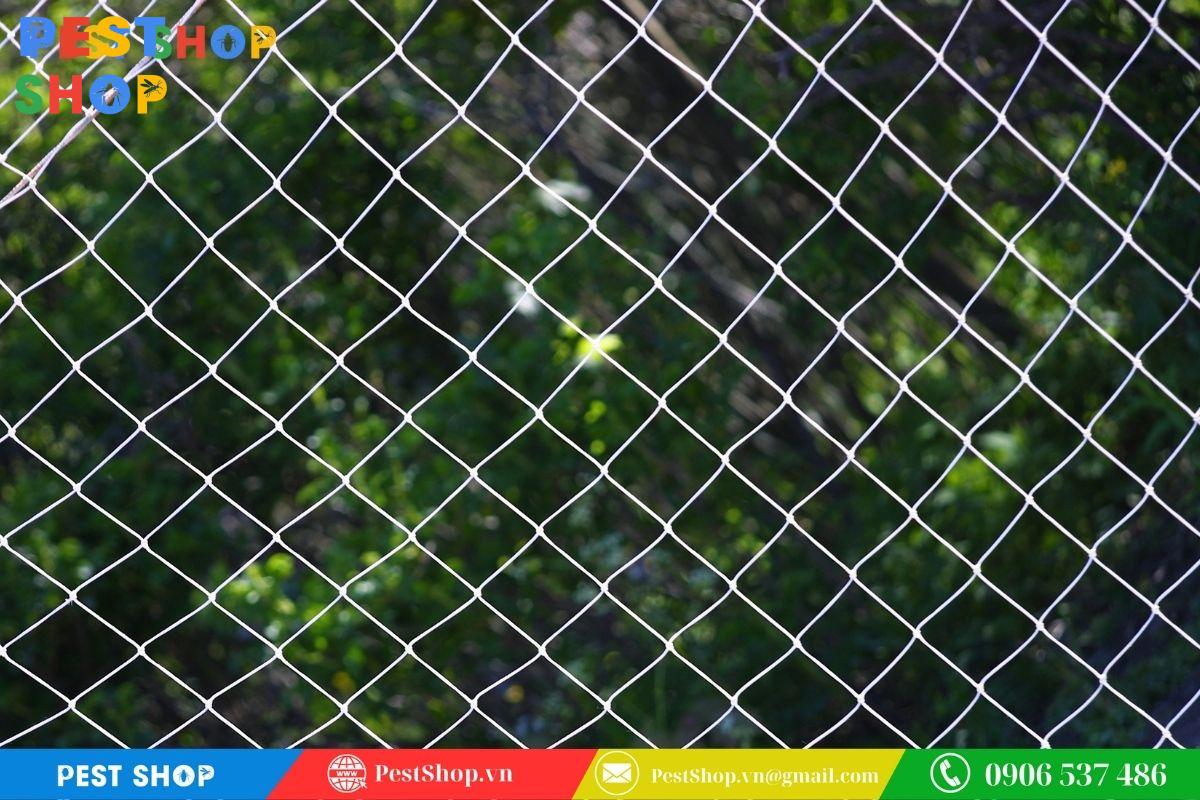 lưới chống chim