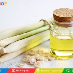 Tinh Dầu Sả Nguyên Chất Đuổi Rắn