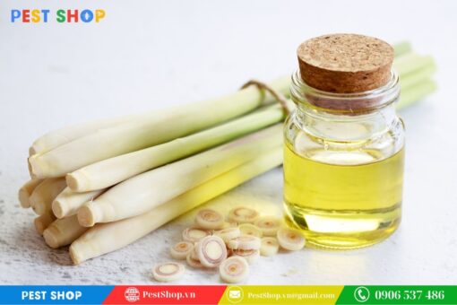 Tinh Dầu Sả Nguyên Chất Đuổi Rắn