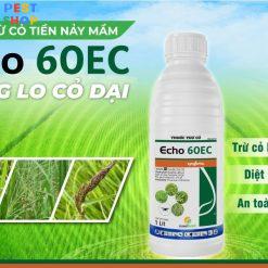Logo Echo 60EC thuoc tru co cua Syngenta 1 Logo Echo 60EC thuoc tru co cua Syngenta 1