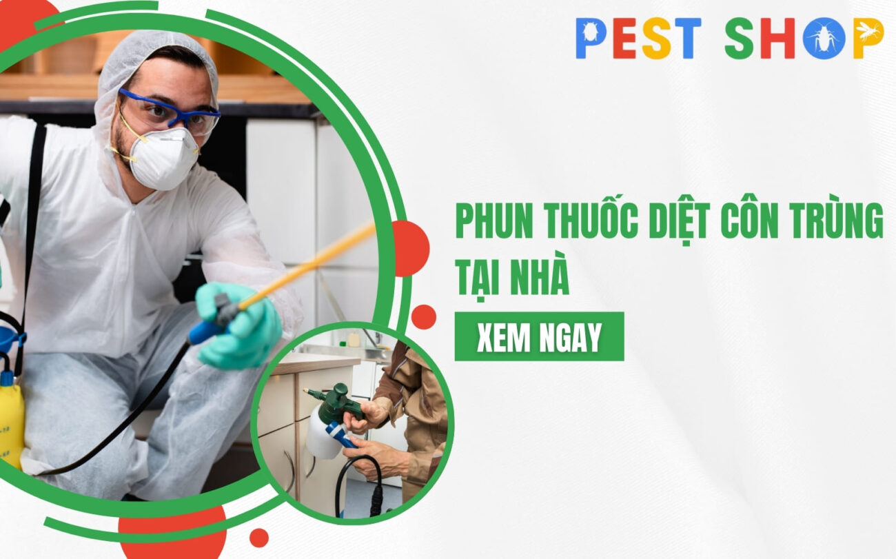 phun thuốc diệt côn trùng tại nhà