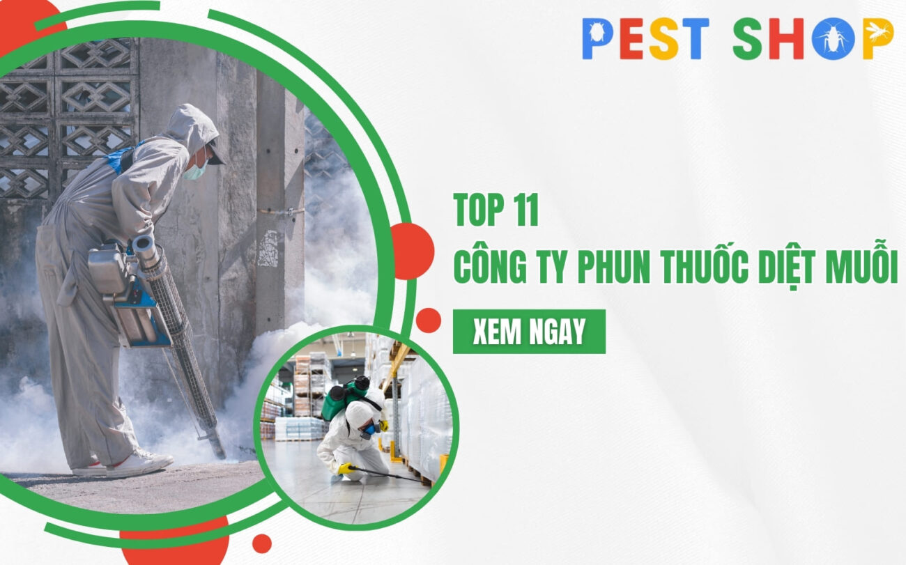công ty phun thuốc diệt muỗi