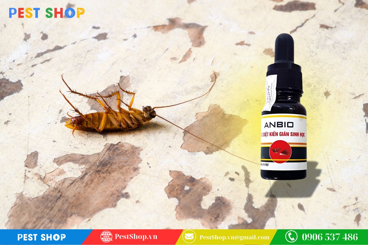thuốc diệt gián sinh học