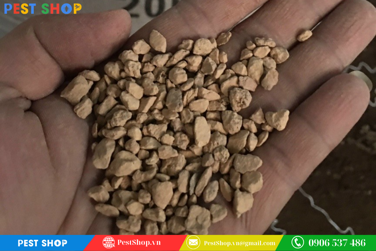 Diệt bọ chét chó bằng đất Diatomaceous