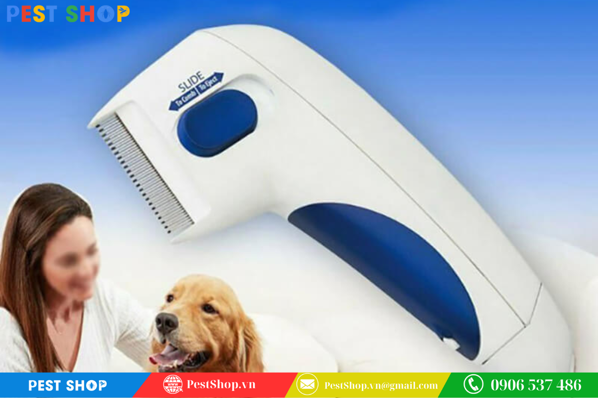 Diệt bọ chét chó bằng lược chải bọ chét chuyên dụng