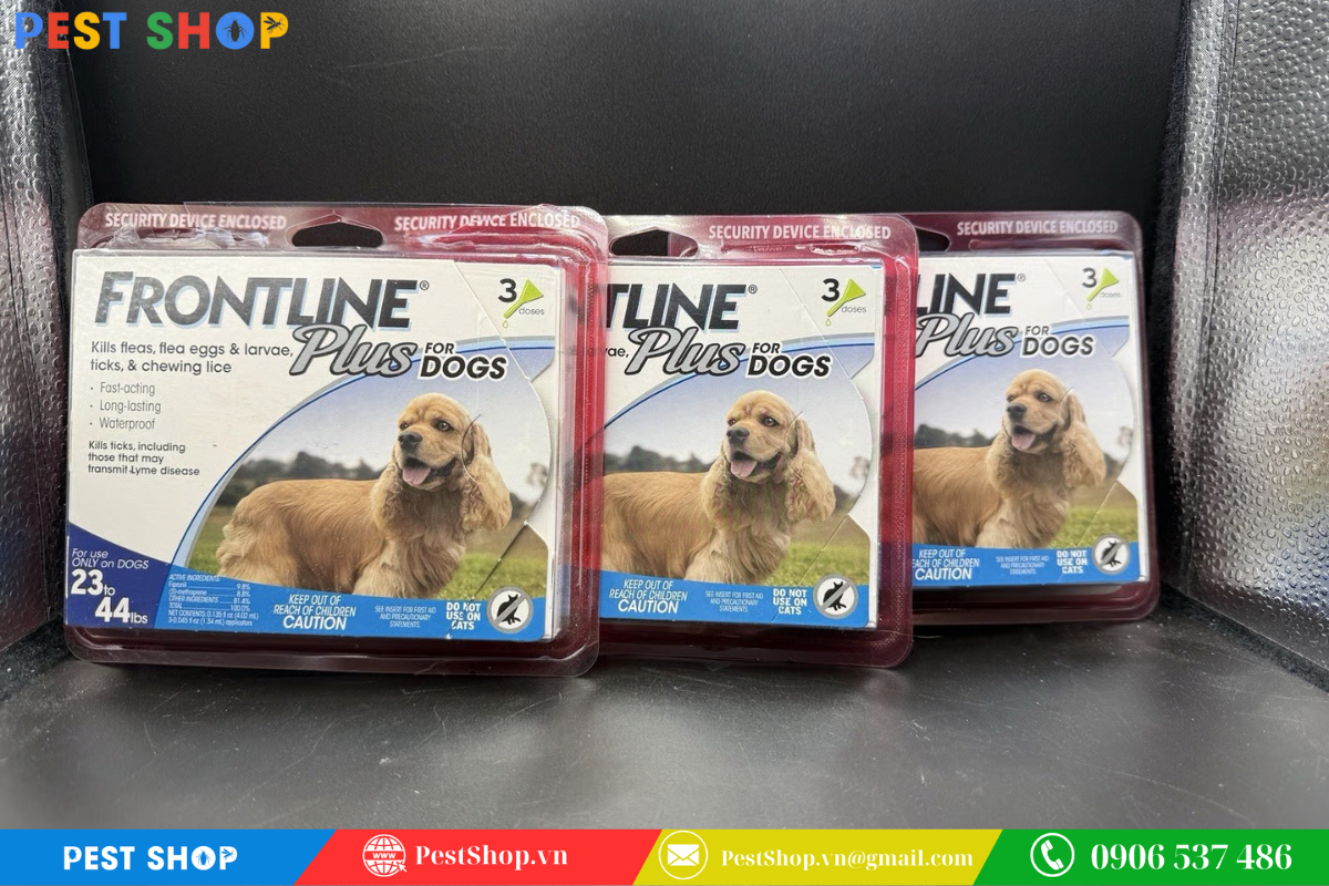 Diệt bọ chét chó bằng thuốc nhỏ gáy