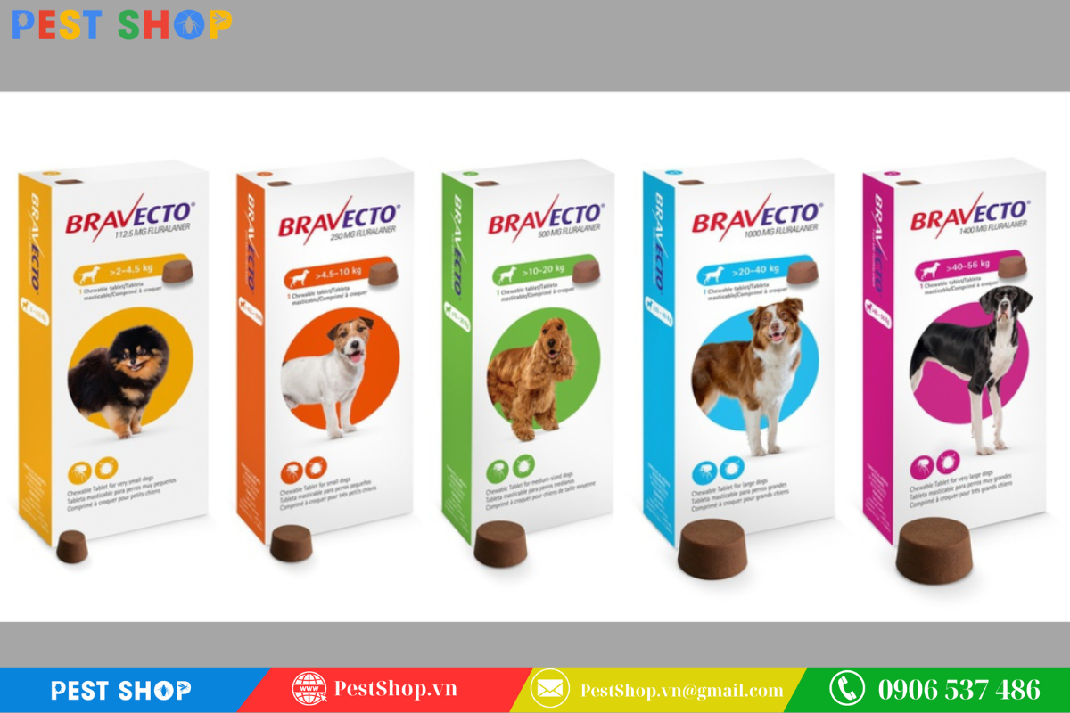 Diệt bọ chét chó bằng thuốc uống đặc trị Nhóm Isoxazoline
