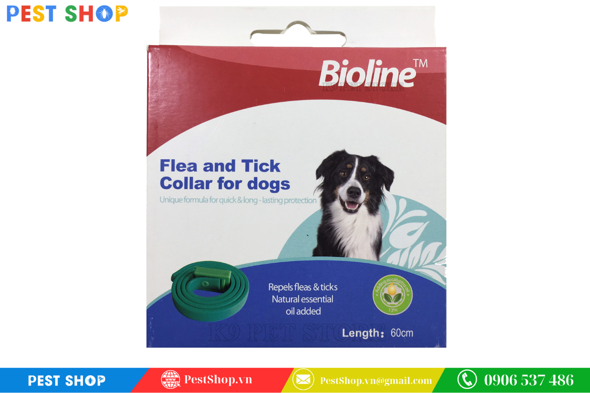 Diệt bọ chét chó bằng vòng cổ trị bọ chét