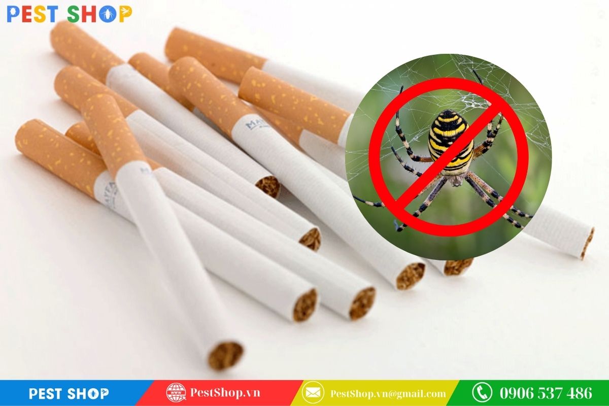 cách diệt nhện