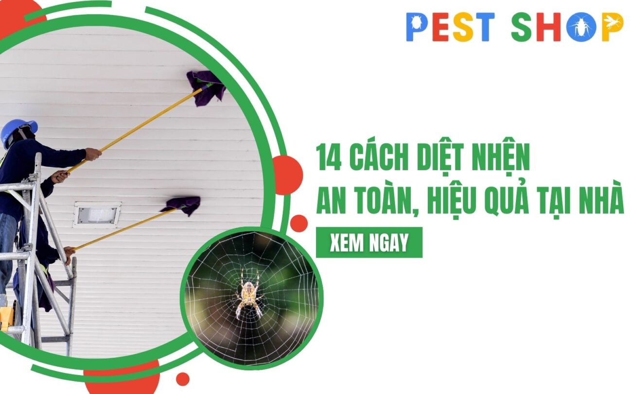 cách diệt nhện