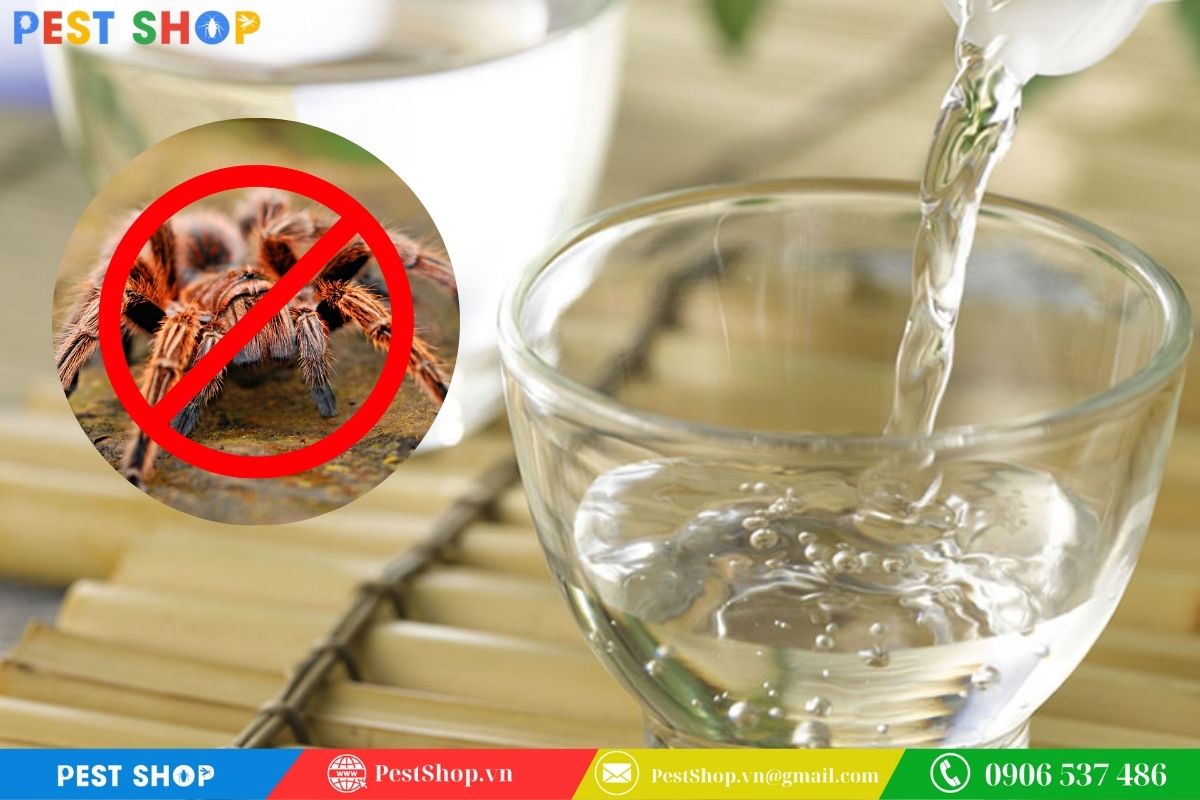 cách diệt nhện