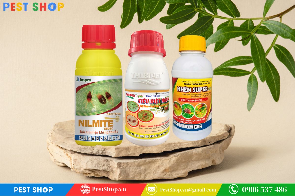 cách diệt nhện