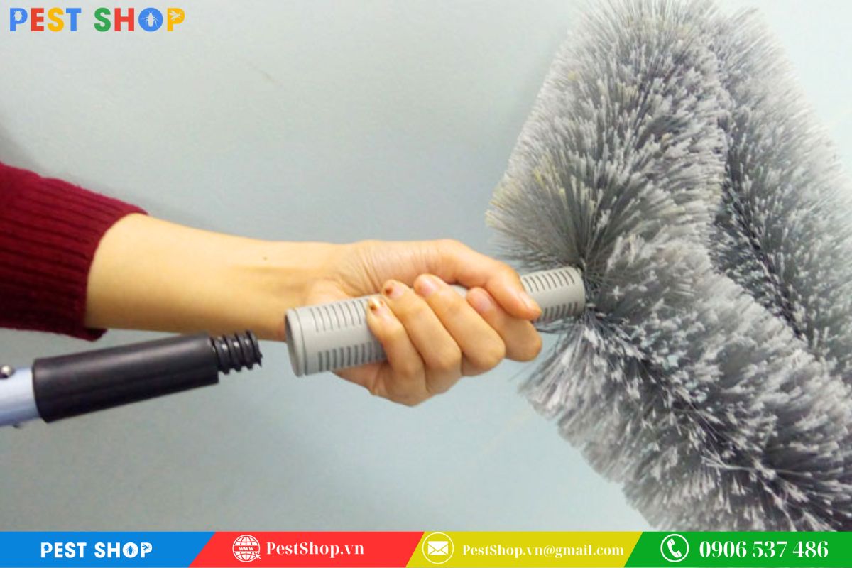cách diệt nhện
