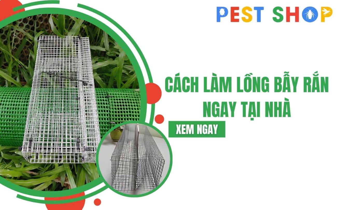cách làm lồng bẫy rắn