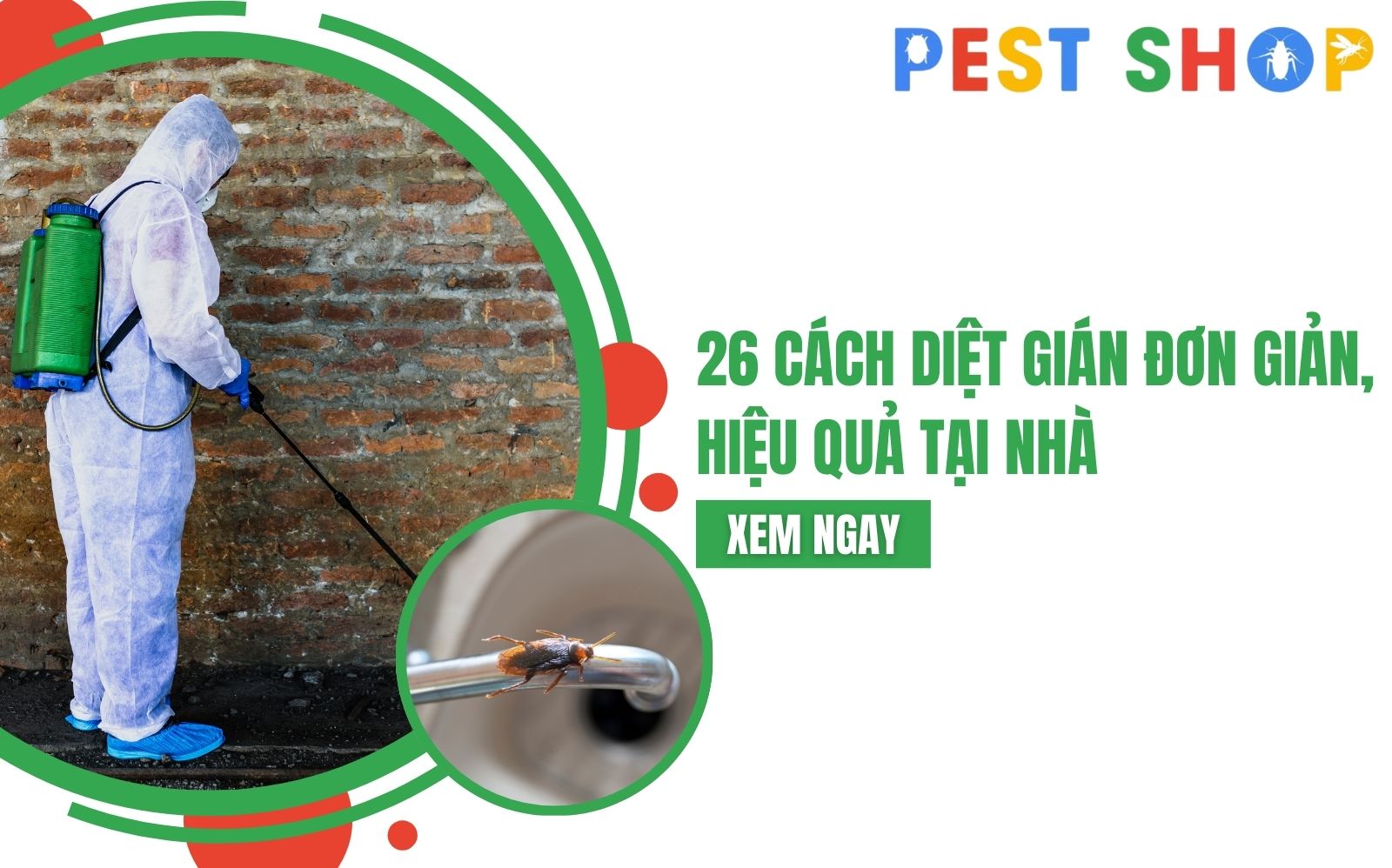 Top 7 loại thuốc xịt gián hiệu quả và tốt nhất hiện nay