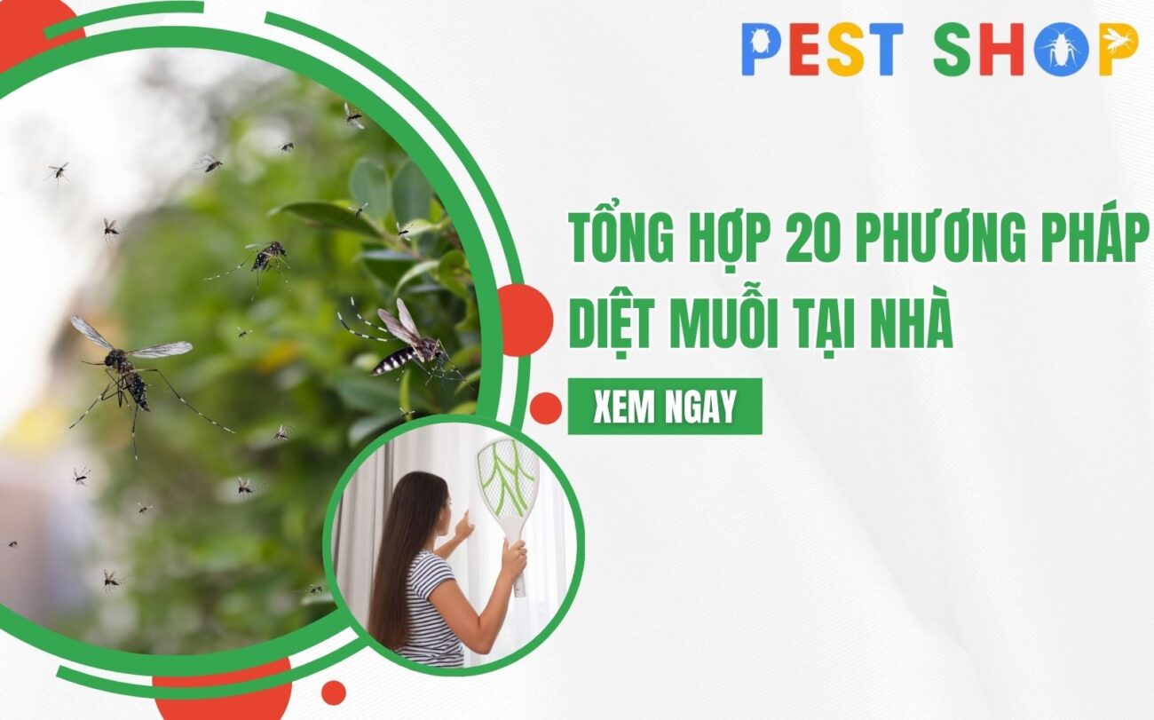 diệt muỗi