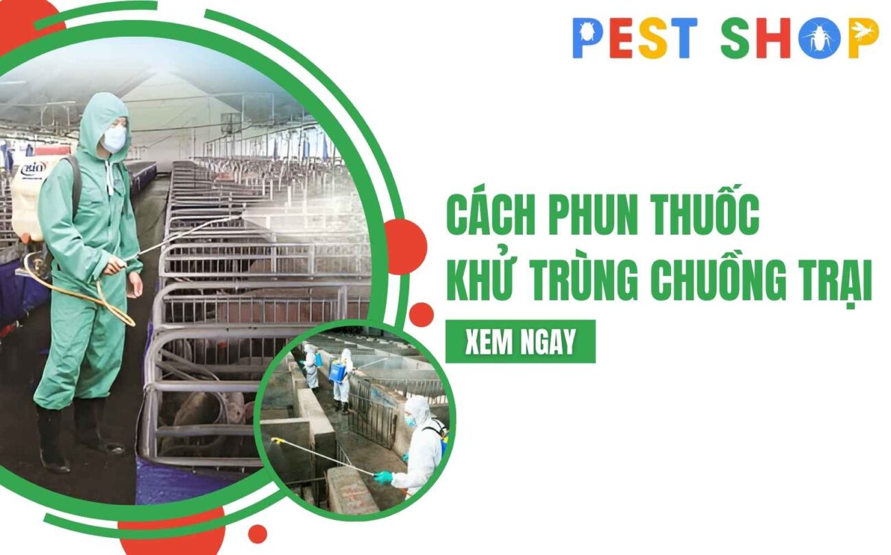khử trùng chuồng trại