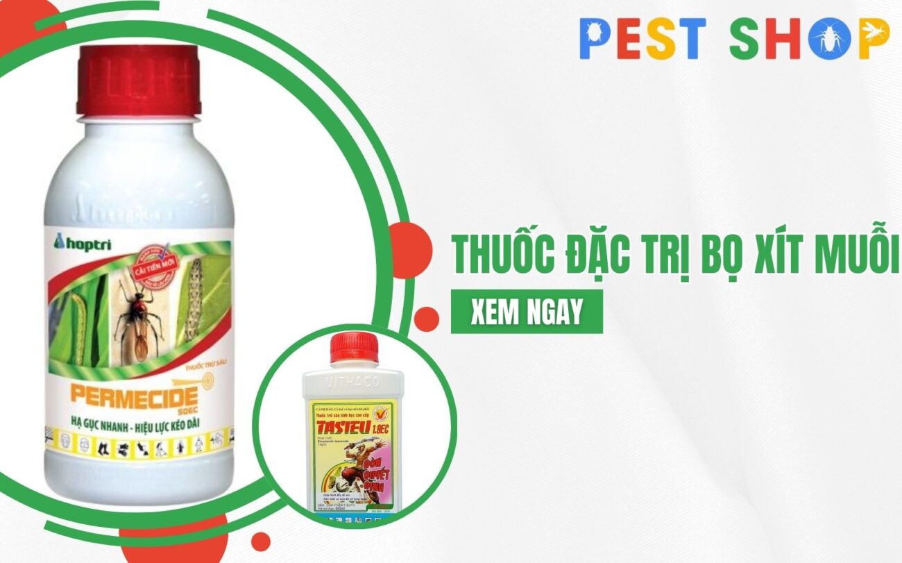 thuốc đặc trị bọ xít muỗi