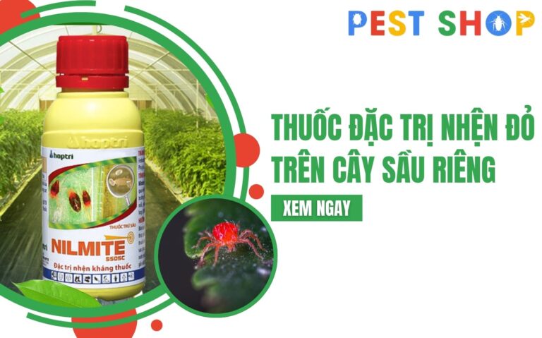 thuốc đặc trị nhện đỏ trên cây sầu riêng