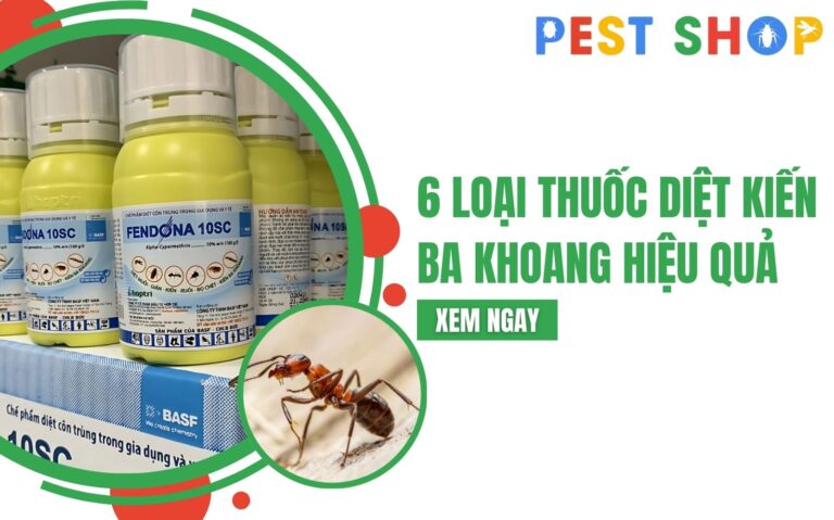 thuốc diệt kiến ba khoang