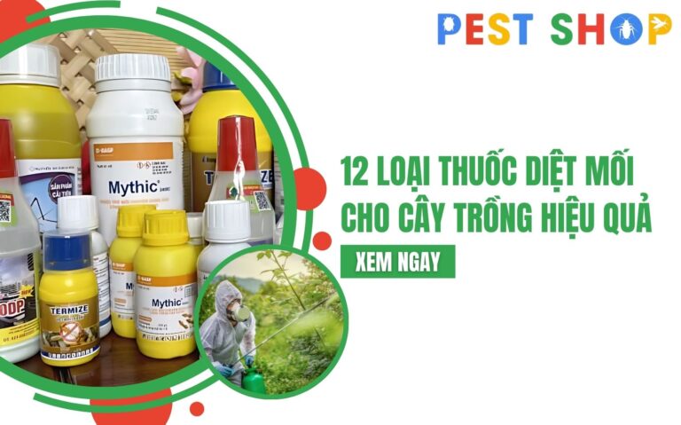 thuốc diệt mối cho cây trồng