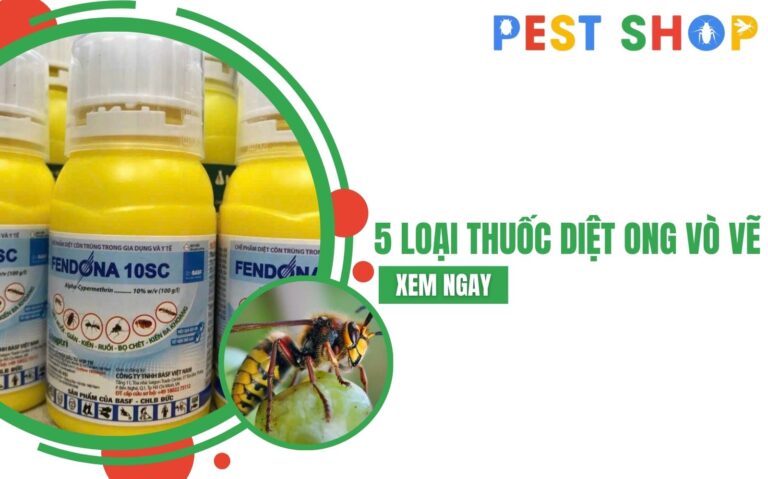 thuốc diệt ong vò vẽ