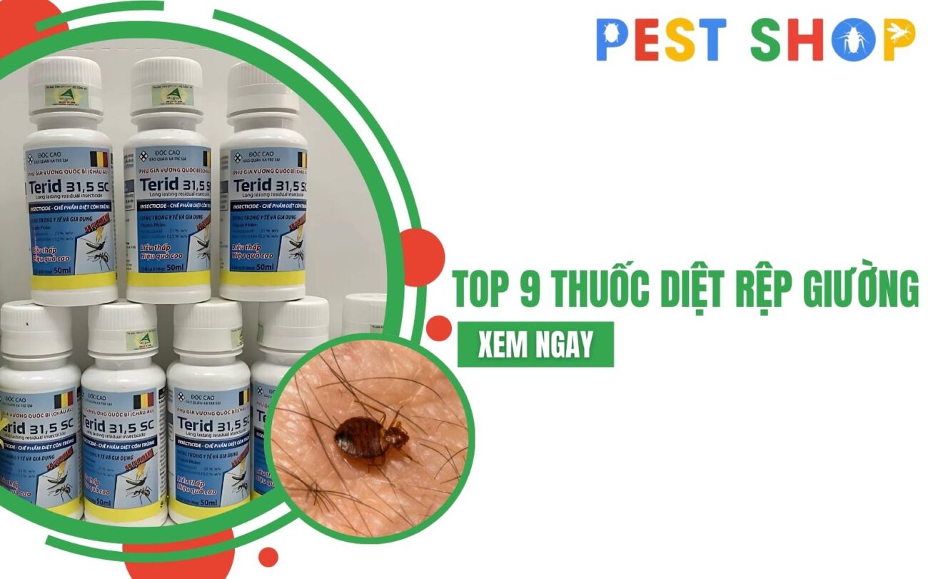 thuốc diệt rệp giường