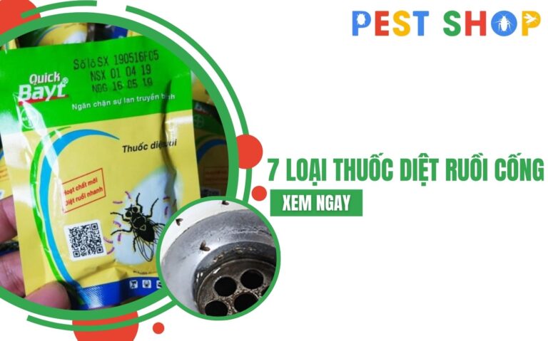 thuốc diệt ruồi cống