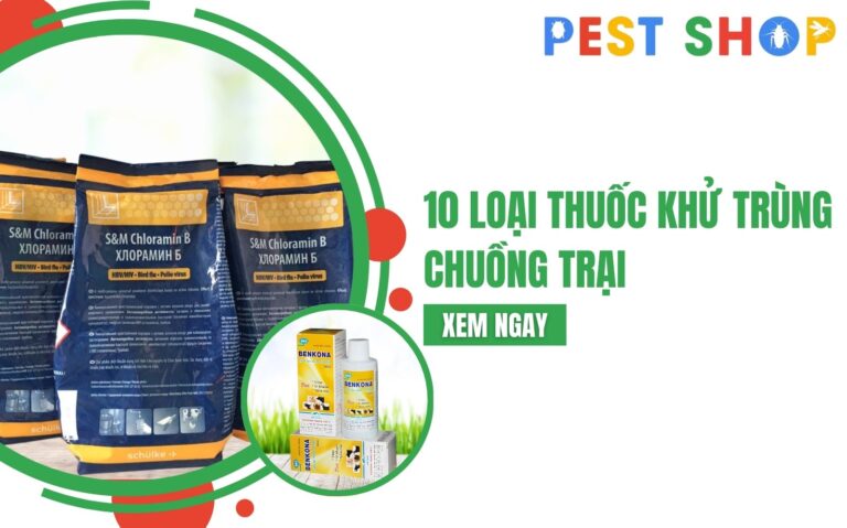 thuốc khử trùng chuồng trại