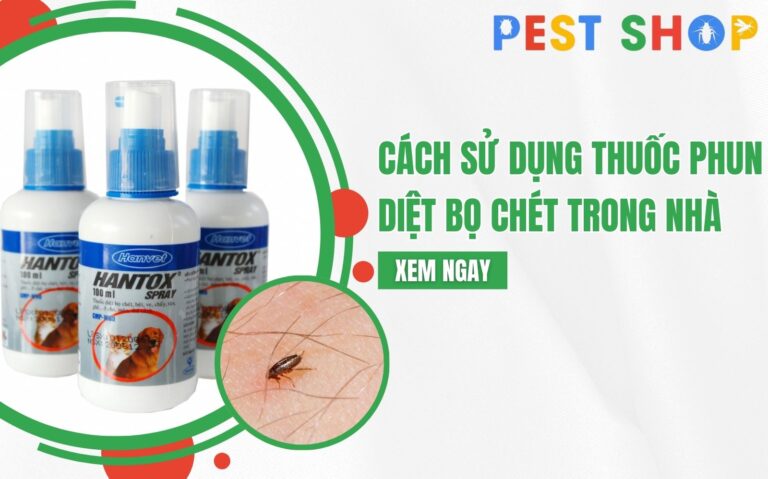 thuốc phun diệt bọ chét trong nhà