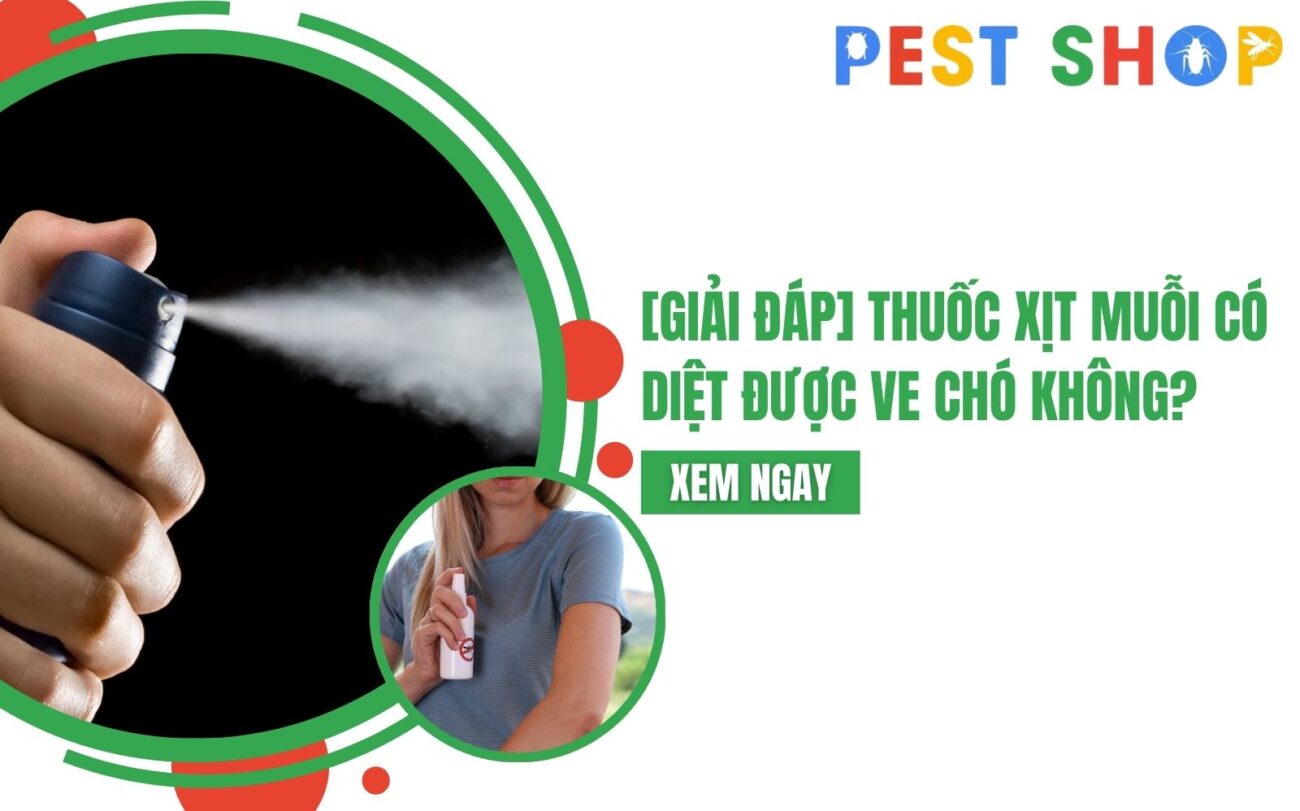 thuốc xịt muỗi có diệt được ve chó không