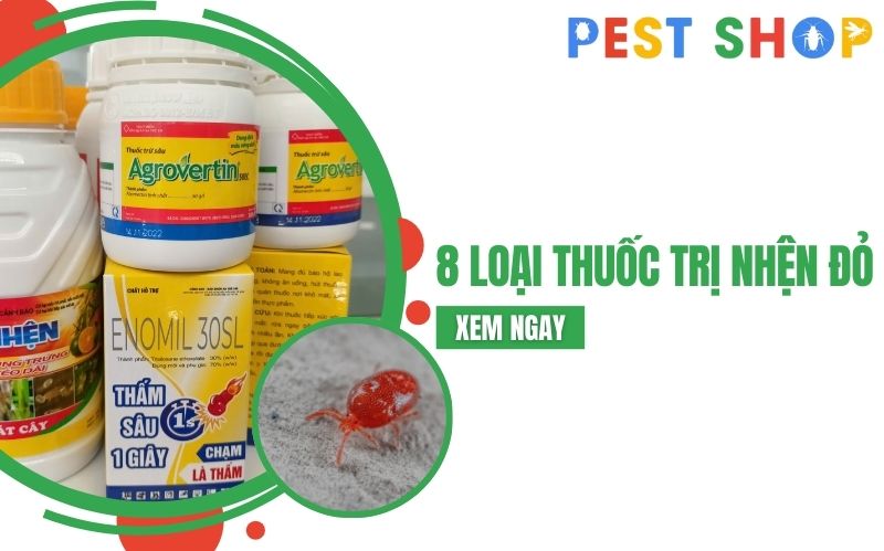 thuốc trị nhện đỏ