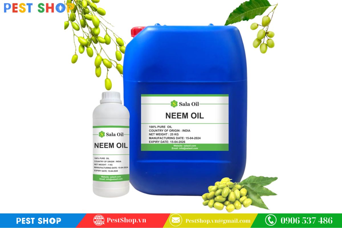 Dùng dầu neem diệt kiến trong đất vô cùng an toàn