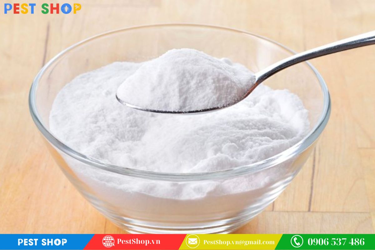 Hàn the ảnh hưởng hệ tiêu hóa của kiến