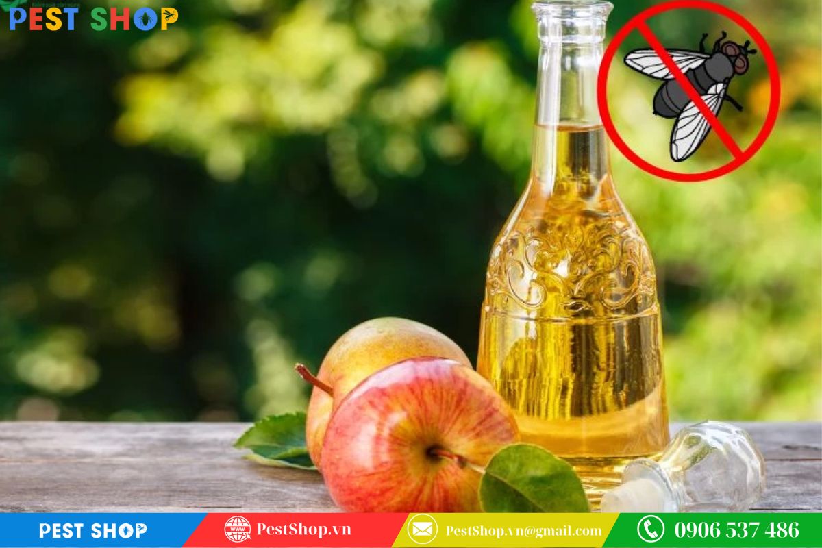 cách diệt muỗi vằn