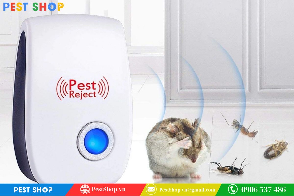 cách đuổi chuột xạ ra khỏi nhà