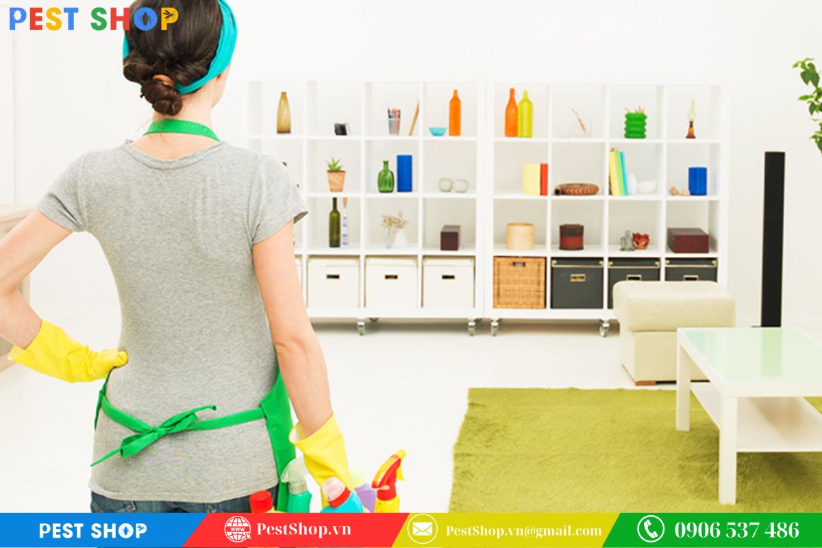 Dọn nhà sạch hạn chế môi trường sinh sôi của kiến