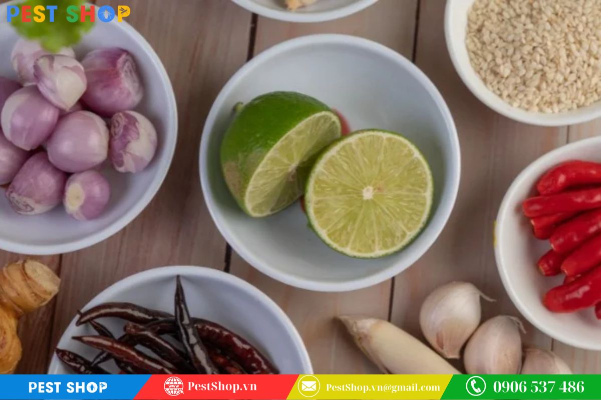 Nguyên liệu từ tự nhiên giúp đuổi kiến cánh hiệu quả